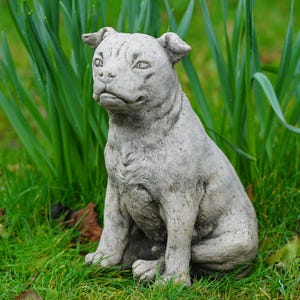 Staffordshire bull terrier dog stone statue | animal puppy outdoor garden ornament
