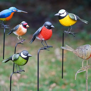Può includere: Una collezione di decorazioni da giardino a forma di uccelli in metallo colorato. Gli uccelli presentano vari disegni, tra cui un martin pescatore blu e arancione, un uccello con il petto rosso e un uccello giallo e verde. Ogni uccello è fissato a un paletto di metallo nero.
