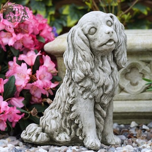 May include: A weathered grey stone statue of a Cavalier King Charles Spaniel dog, depicted in a seated position. The statue features detailed fur and long, floppy ears. The background shows pink rhododendrons and a stone structure.