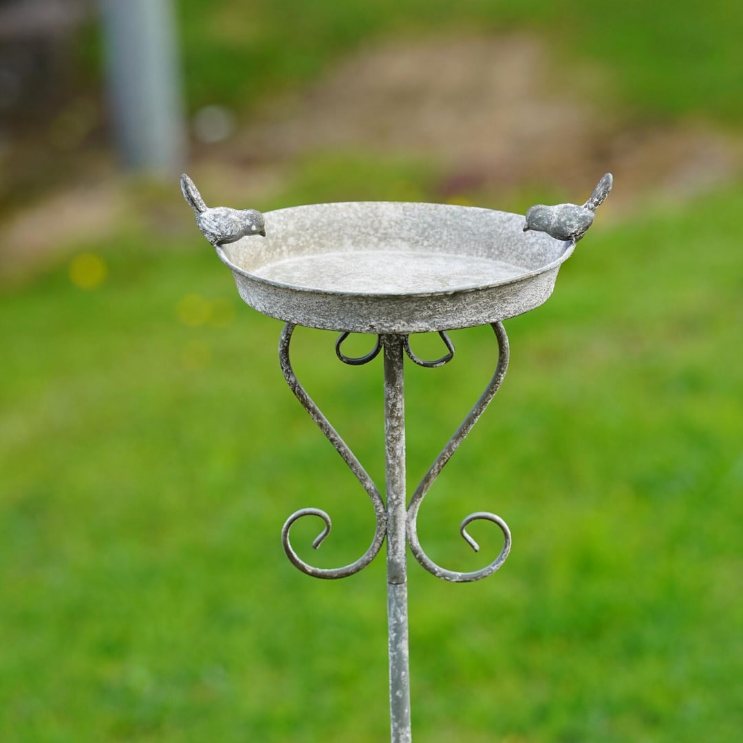 Wrought Iron Bird Bath: Elegant Garden Decor Ideas That Impress