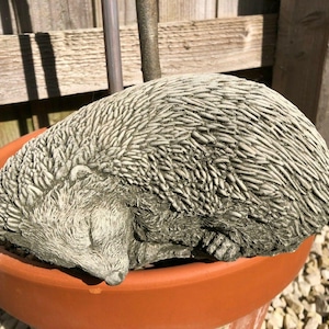 Sleeping hedgehog statue | reconstituted stone animal concrete garden ornament