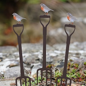 May include: Three dark brown metal garden forks with a bird perched on each handle. The birds have gray and white feathers with orange breasts and are facing different directions. The forks are placed in a garden setting.