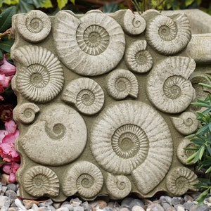 May include: A grey concrete garden stepping stone with a raised design of multiple ammonite fossils. The stone has a rough, textured surface.