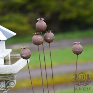 Poppy heads large metal garden ornament | flower stake gift decoration poppies