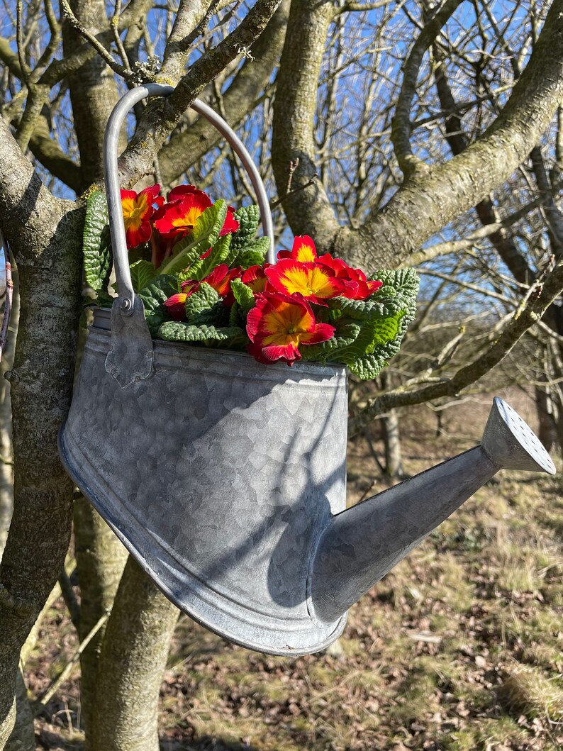Galvanised Zinc Watering Can Hanging Wall Planter Pot Etsy