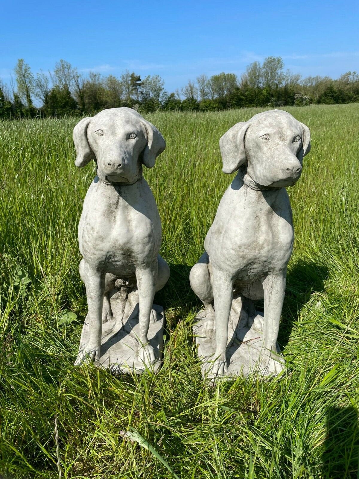 Pair of l stone hunting hound dog pointer statues large Etsy