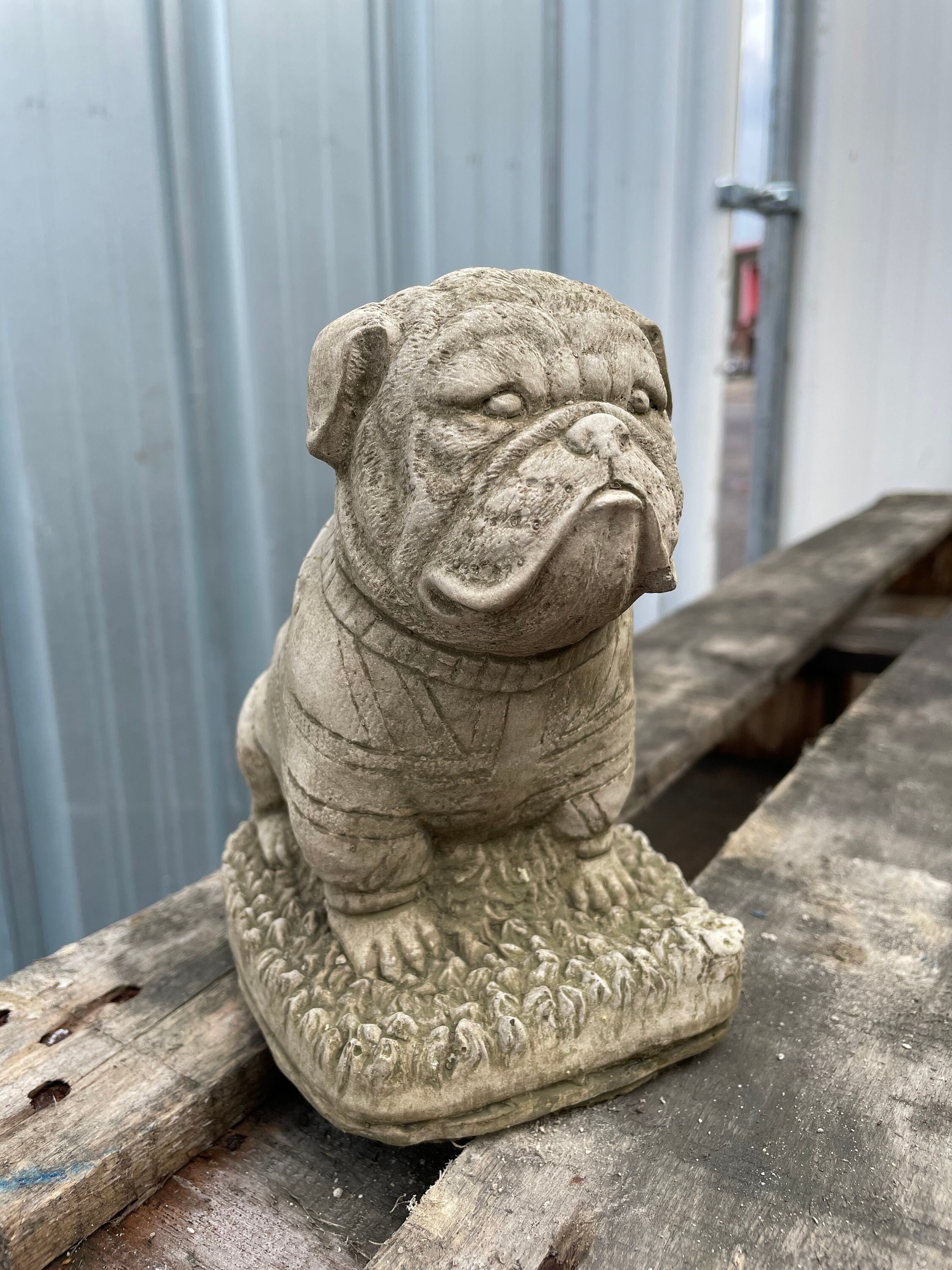 Statue english bulldog -  Schweiz