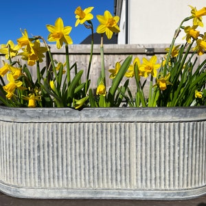 Set van 3 OF enkelvoudig gegalvaniseerde zink geribbelde metalen potten | ronde tuinbloemplant