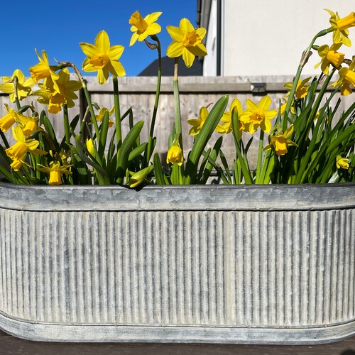 Lot de 3 cache-pots métal zingué nervuré OR Single | plante de fleur de jardin ronde