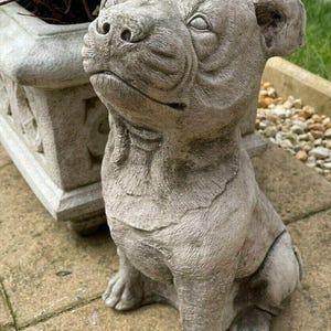 Staffordshire bull terrier stone statue | animal pup dog outdoor garden ornament
