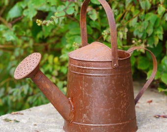 Large metal watering can vintage style Planter Flower Pot Garden Ornament | outdoor decoration iron