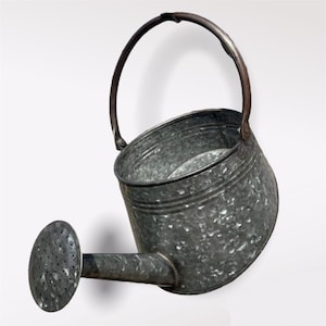 Galvanised watering can hanging wall planter | outdoor garden metal steel pot