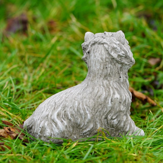 Cane Del Carlino Nel Giardino Fotografia Stock - Immagine di sole