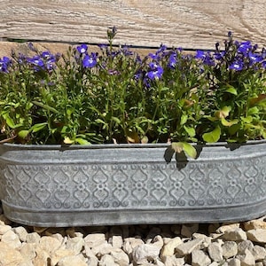 Galvanised zinc floral metal planter | garden flower pots trough set of 3 or 1