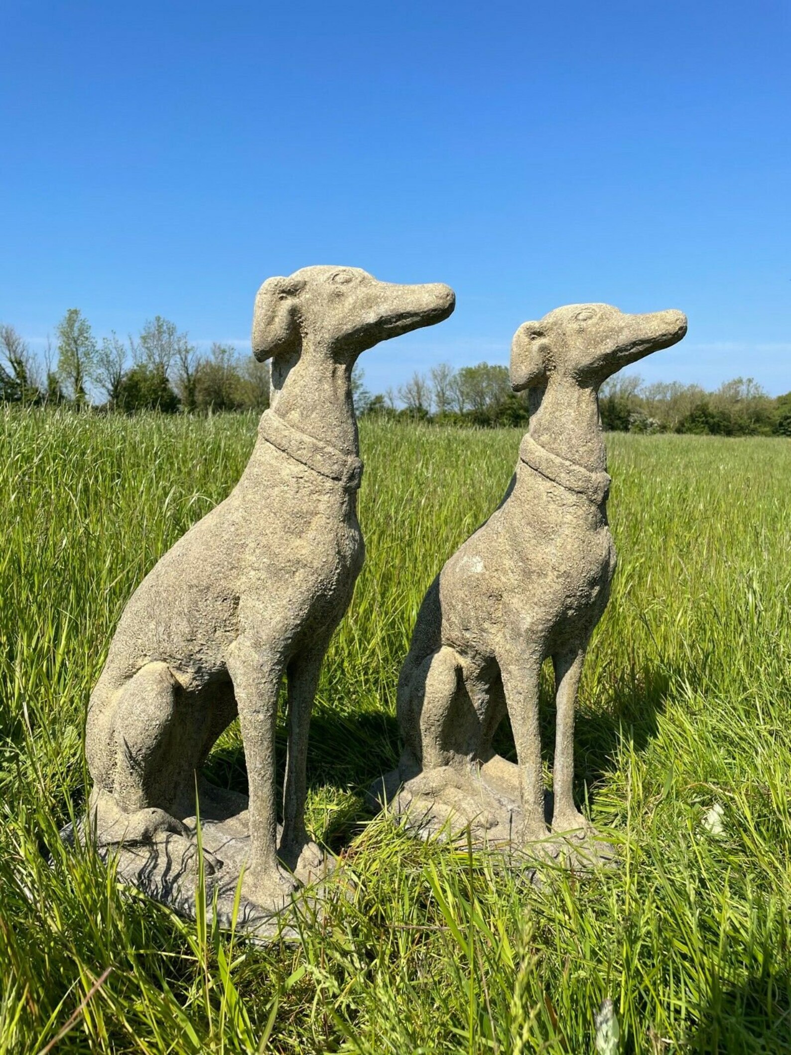 Pair of Large French Lurcher Statues Solid Stone Dog Animal Etsy