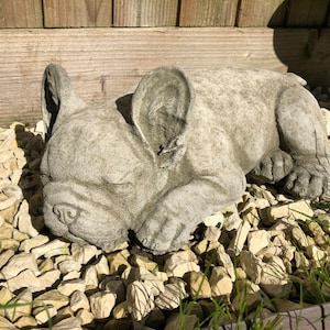 Reconstituted stone french bulldog statue | vintage concrete garden ornament