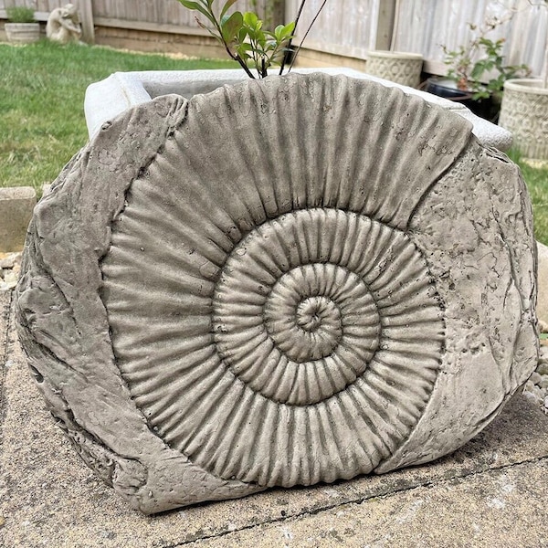 Ammonit fossile Steinstatue | Hängende Plakette Dinosaurier im Freien Gartenverzierung uk Dekoration Geschenk