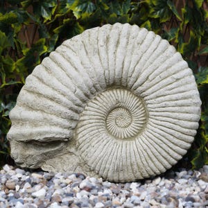 Large Ammonite Fossil Stone Statue | Ancient Dinosaur Outdoor Garden Ornament British Made Sculpture