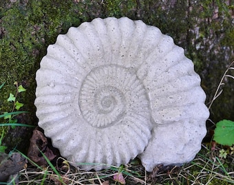 Med Ammonite Large Fossil Stone Statue outdoor garden ornament sculpture decor