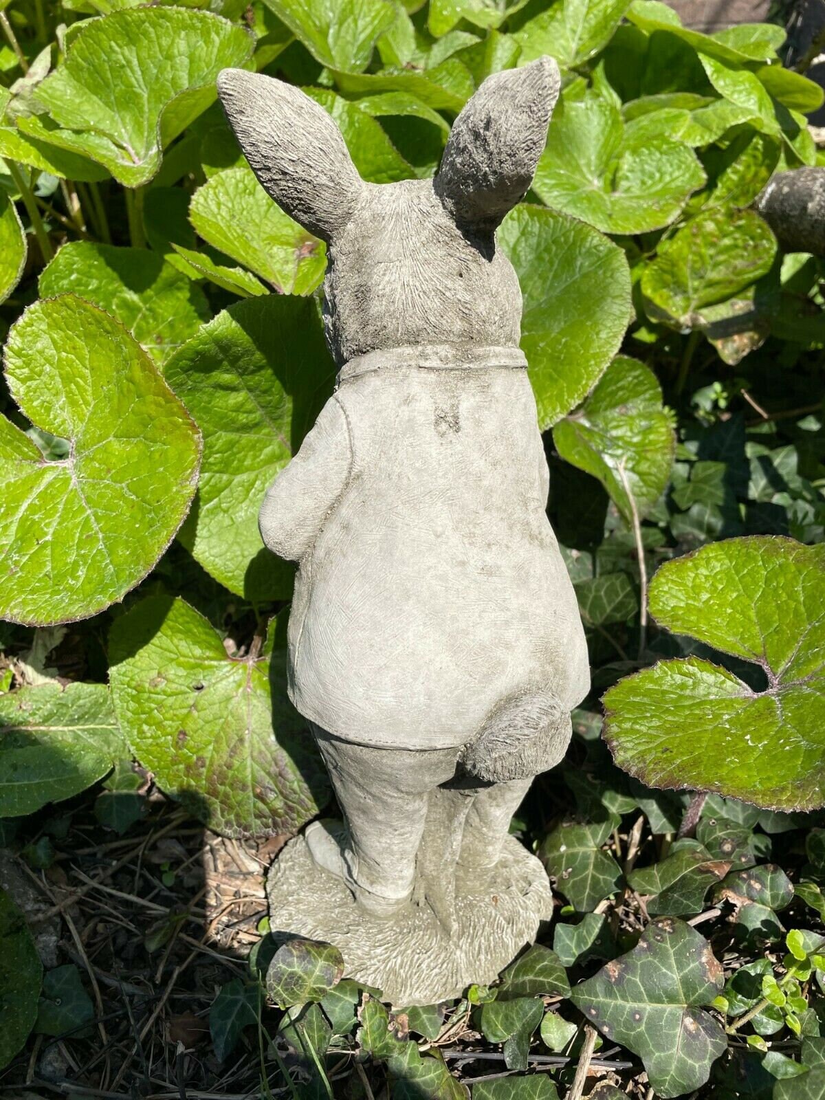 Mr Peter Rabbit Stone Statue Beatrix Potter Animal Garden Etsy