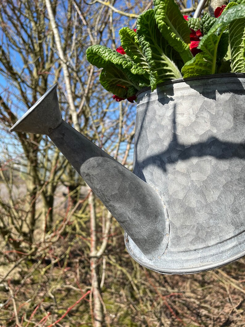 Galvanised Zinc Watering Can Hanging Wall Planter Pot Etsy