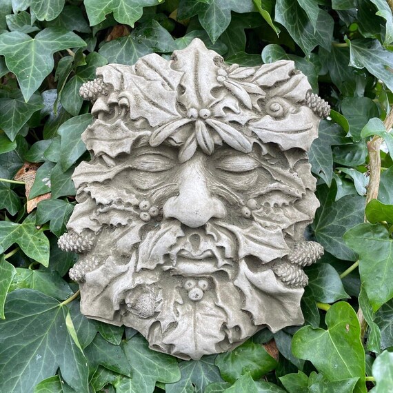 drachenbaum kosten Gerandeter Drachenbaum kaufen main image 1