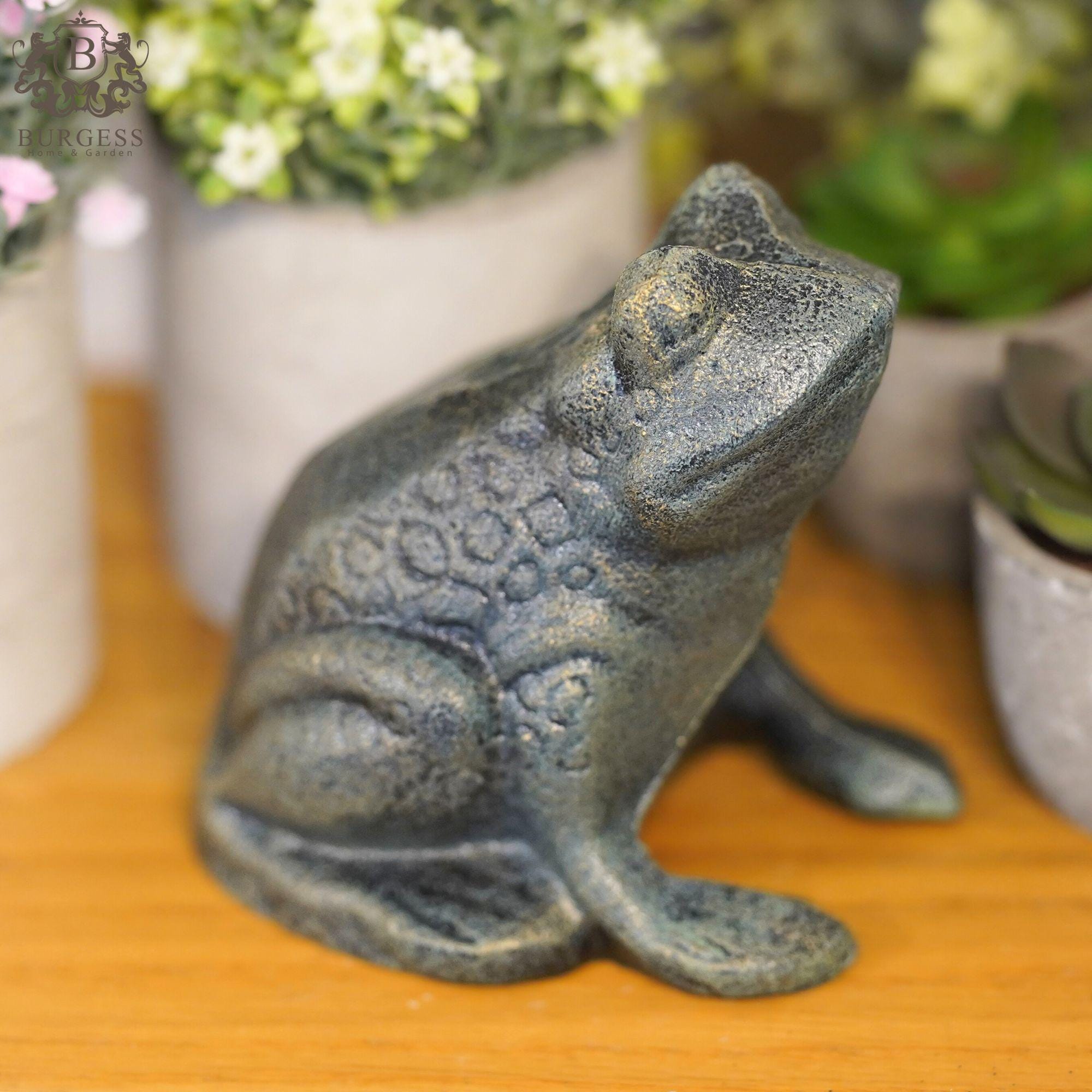 Queemie Amusante Grenouille Assise Sur Toilettes Résine Figurine, Mascotte Grenouilles Porte Stylo Sculpture 3D Statue Pour Maison Bureau Salle De Bain Extérieur Jardin Décor Cadeaux