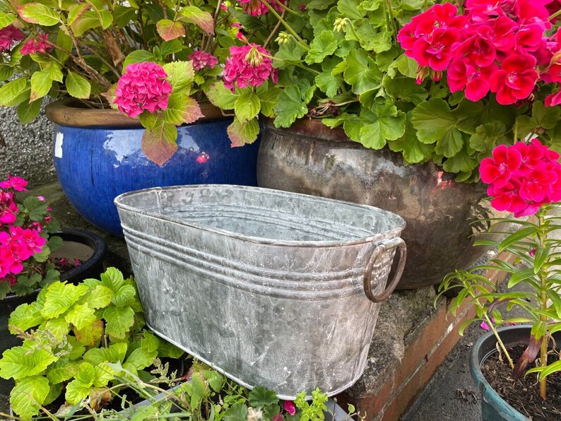 Galvanised Oval Trough W Handles Outdoor Garden Metal Steel Etsy