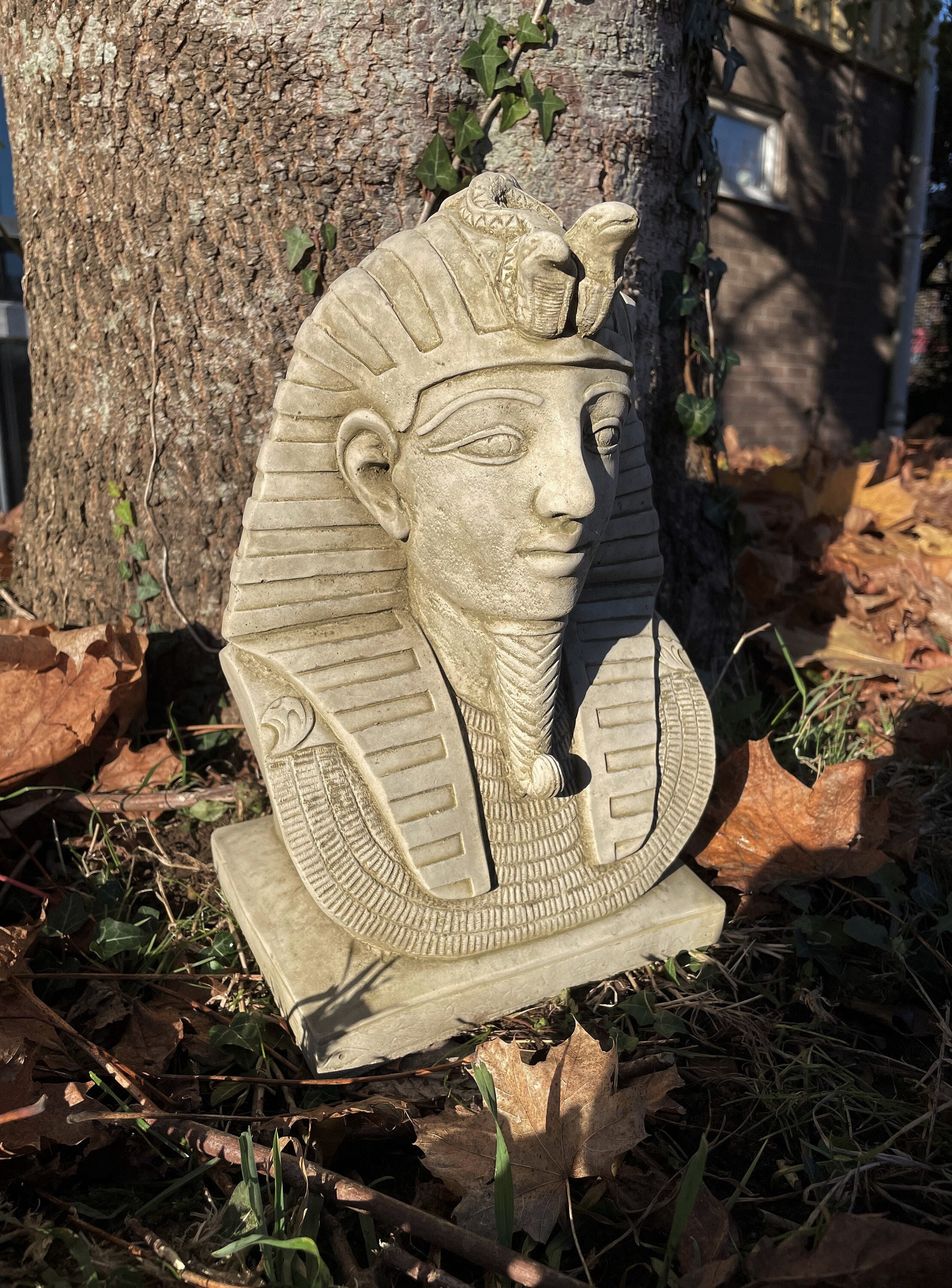 Plaque en pierre Bacchus greenman Jardin extérieur maison statue décoration  ornement romain grec dieu suspendu cadeau -  France