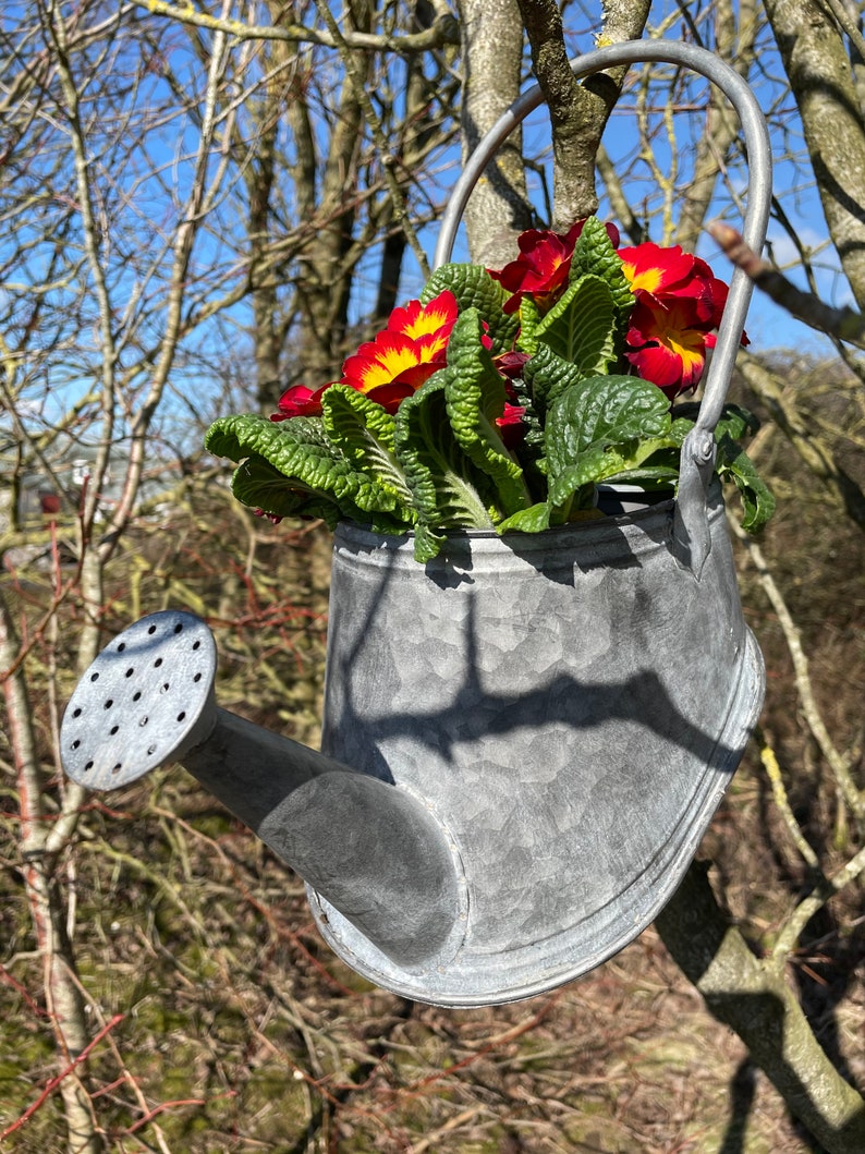 Galvanised Zinc Watering Can Hanging Wall Planter Pot Etsy