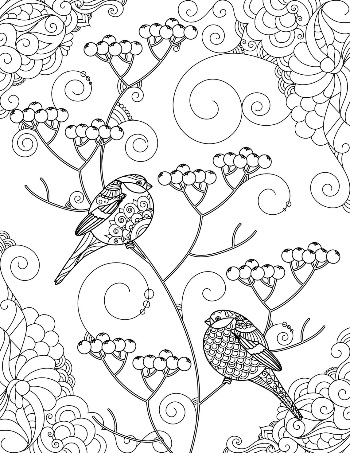 Colouring Page, Birds, Adult Colouring, Colouring Therapy, Printable Colouring Page - Etsy
