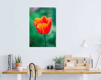 Red Tulip, Digital Print, Flower Decor, Digital Download, Digital Print, Home Decor, Wall Art, Wall Decor