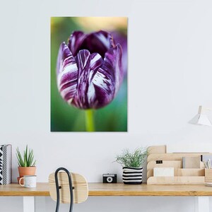 Purple and White Tulip, Digital Print, Flower Decor, Digital Download, Digital Print, Home Decor, Wall Art, Wall Decor
