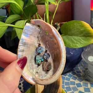 Abalone shell drop earrings