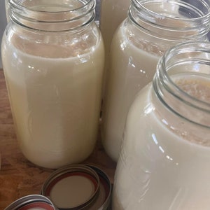 May include: Five glass jars filled with a white liquid, likely homemade yogurt or kefir, with lids on a wooden surface.