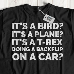 It&#39;s A Bird, It&#39;s A Plane? Unisex Funny Games Night T-Shirt & Guessing Game Gifts