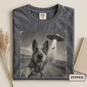 May include: A charcoal grey crew neck t-shirt featuring a graphic print of a dog taking a selfie with a UFO beaming up a cow in the background. The shirt has a Comfort Colors brand label at the inner neckline and the word Pepper printed on a tag.