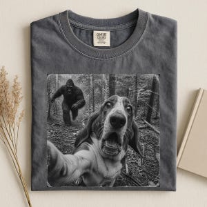 Può includere: Una t-shirt girocollo grigio antracite con una stampa grafica di un basset hound che scatta un selfie in una foresta con un gorilla che si avvicina sullo sfondo. La maglietta presenta un'etichetta del marchio Comfort Colors all'interno del colletto.