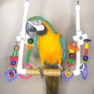 Large store macaw swings