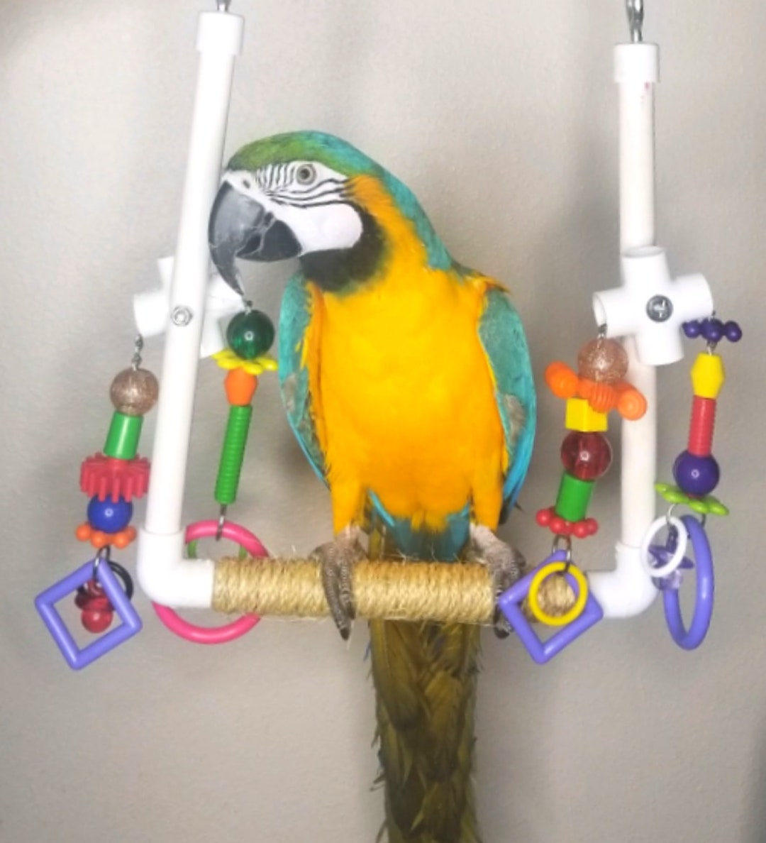 Large Parrot Swing Big Bird Swing Parrot Toy Bird Toy Etsy