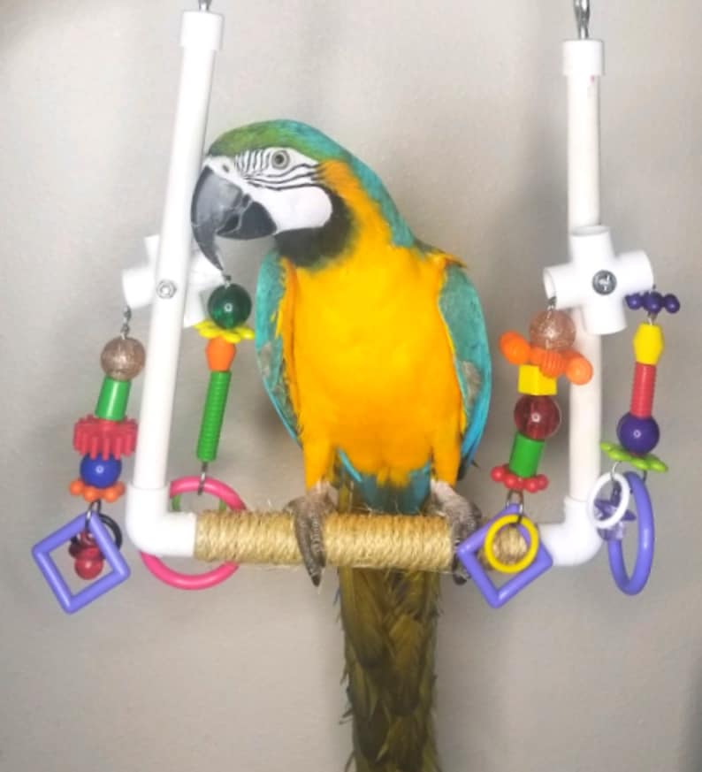 Large Parrot Swing Big Bird Swing Parrot Toy Bird Toy Etsy