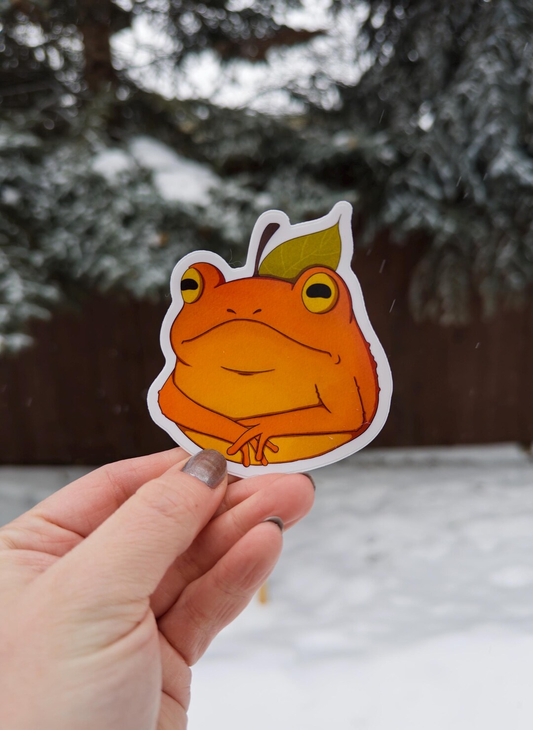 Fruit Frog Die Cut Matte Sticker - Etsy