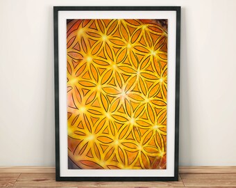 Flower of Life print, Digital art/ photography