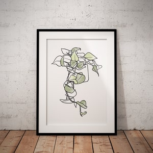 Devils' Ivy, Epipremnum aureum, Ceylon creeper, Golden Pothos, Plant Print, Houseplant, digital art, prints