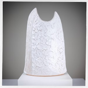 Peut inclure: Vase en céramique blanche avec une surface texturée et une forme abstraite unique. Le vase a une large ouverture en haut et une base étroite.