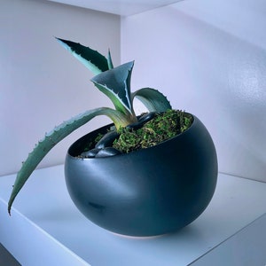 Sloped Black Modern Ceramic Planter Pot For Succulents/Bonsai/Orchid 4”-Free Liner