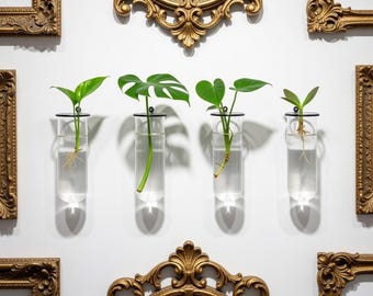 Tubi di propagazione in vetro da parete da 4 pezzi