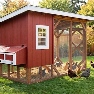 DIY Chicken Coop Plans with Run – 6x12 (PDF Download)
