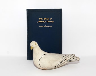 Signed First Edition: The Birds of Albany County by Wilbur Webster Judd
