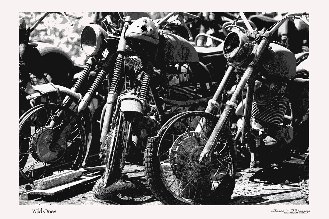 Motorcycle/wild Ones/harley Davidson/indian/motivational Gift Etsy